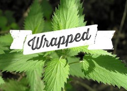 Wild-Edibles-Wrapped